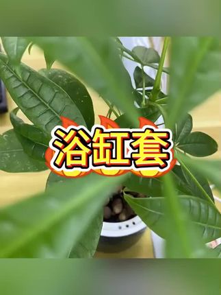 #浴缸套 #一次性浴缸套 #泡澡袋