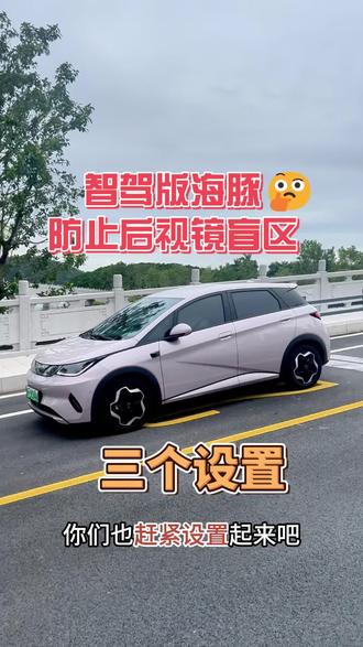 智驾版后视镜盲区太闹心?3 个核心设置教你搞定,大幅提升行车安全#比亚迪海豚 #比亚迪汽车 #比亚迪海豚车主 #用车小知识 #比亚迪