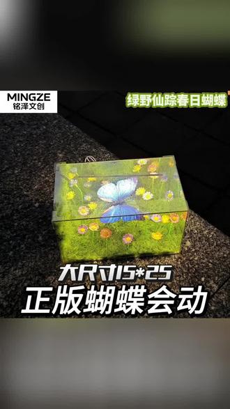 春日蝴蝶礼盒,灵动氛围感拉满
#文创礼盒 #蝴蝶装饰 #春日礼物 #创意摆件 #铭泽文创