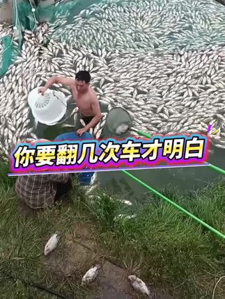 你要翻几次车才明白,鱼塘驱虫一定要趁早#水产养殖#鱼虾蟹养殖#高密度养殖#四大家鱼养殖