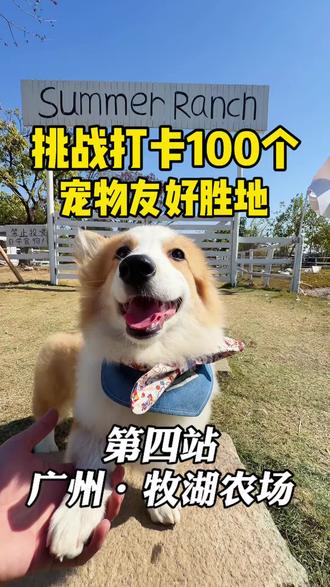 挑战打卡100个宠物友好胜地——第四站广州牧湖农场,来场治愈之旅,解锁现实版QQ农场#养宠vlog #创作者中心 #萌宠出道计划 #带着狗狗去旅行