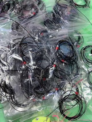 船钓放流加天亚钓组 49股包胶钢丝 拉力强 防切线 所有配件高速轴承转环减少缠绕#船钓 刀鲅#天亚钓法 #爆款热卖中