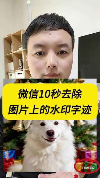 豆包AI生成的图片水印怎么去除? 图片怎么去水印?今天这个视频教大家怎么用手机微信去除豆包ai图片水印?方法非常简单,一看就会。#图片去水印 #图片去水印不伤原图 #照片去水印 #豆包去水印 #ai水印怎么去除