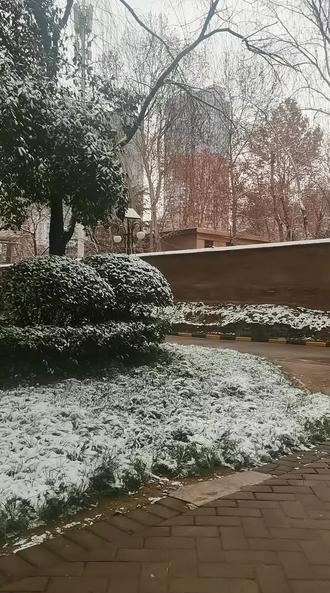 雪落人间,岁暖长安,愿日子温柔,岁岁安澜✨