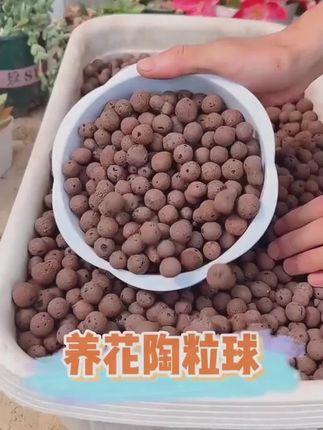 10升养花陶粒球花盆垫底园艺陶土颗粒水培无土栽培多肉种植铺面石#养花陶粒 #陶粒 #陶土颗粒 #无土栽培铺面石