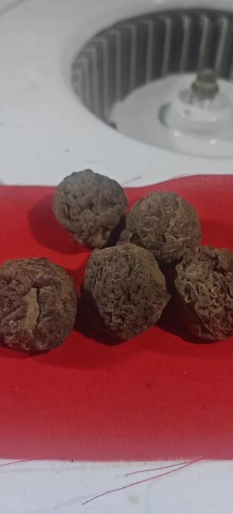 3. 古籍里的桃枭采制诀:天时对了才是极品