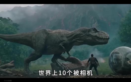 恐龙真的灭绝了吗?不不不…恐龙还在…