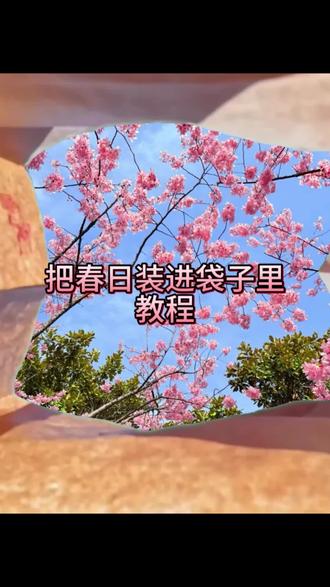 把春日装进袋子里 #春日牛皮纸袋转场 #把春天装进袋子里 #剪辑教程