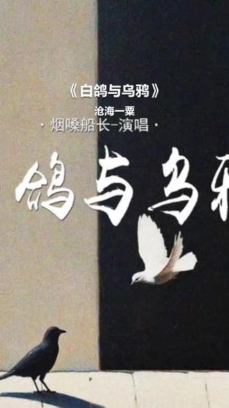 感谢认真听完我唱歌的你 白鸽与乌鸦#全民k歌 #唱歌不孤单