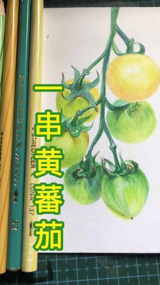#热点 挑战成为绘画博主#彩铅画#一串黄蕃茄