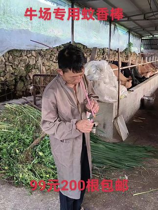 “夏日苦短,蚊虫嚣张。正所谓‘明月别枝惊鹊,清风半夜鸣蝉’,点上蚊香棒,驱散烦恼!#牛场专用蚊香棒 #夏日必备”