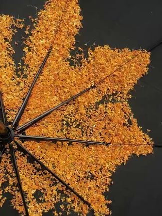 羽毛球拍-双拍初学者碳素耐打型初学者家庭超轻#羽毛球拍 #初学者羽毛球拍 #家庭羽毛球拍 #超轻羽毛球拍 #羽毛球拍推荐