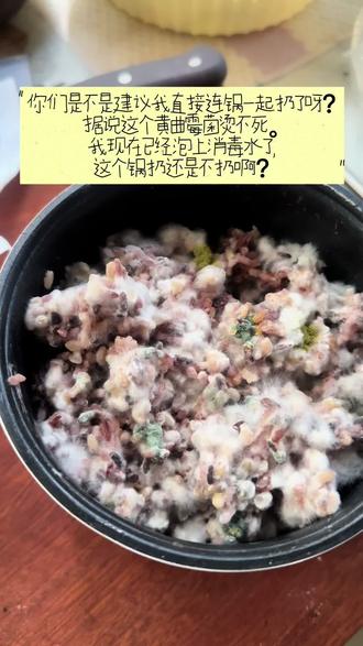这锅扔不扔? 你们是不是建议我直接连锅一起扔了呀?据说这个黄曲霉菌烫不死。我现在已经泡上消毒水了,这个锅扔还是不扔啊?