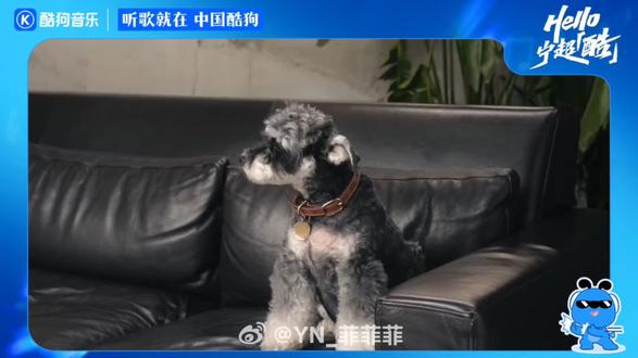 好可爱的官宣视频「刘宇宁✖️酷狗✖️呆米」
恭喜🎉刘宇宁成为酷狗音乐代言人🎉
酷狗音乐【首位】【唯一】代言人
国民歌手刘宇宁代言国民音乐app,老用户变代言人,刘宇宁优秀!
@摩登兄弟刘宇宁
#酷狗音乐代言人刘宇宁# |#刘宇宁官宣酷狗音乐代言人#
