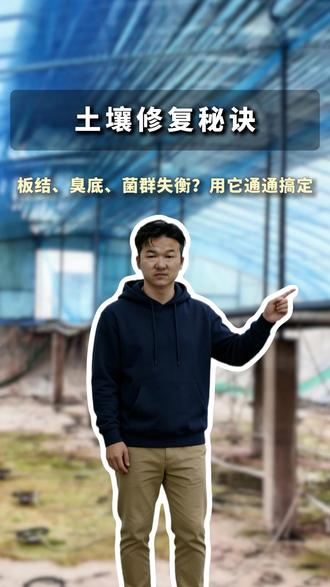 小棚虾底质板结底臭?别撒石灰!土壤修复剂改底防硬板结,高产4000斤稳赚!#小棚虾养殖 #水产养殖#南美白对虾 #水产养殖技术 #水产人