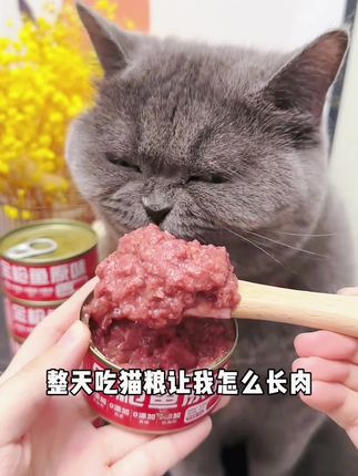 宠物金枪鱼罐头破价啦!一箱24罐到手才19.9!平均一罐才8毛多,打开就是满满的肉肉,猫咪吃的嘎嘎香,营养美味又补水!#猫罐头 #抖音萌宠计划 #萌宠好物 #好吃到停不下来 #超便宜超划算