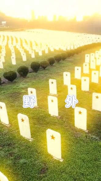 遇到这些危险需要跑吗,千万别选错了#科普 #涨知识 #危险动作请勿模仿 #户外探险