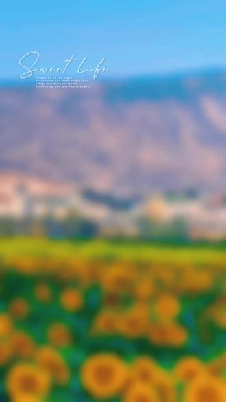 鲊石村太阳花海 攀枝花盐边县鲊石村
鲊石村是盐边县红格镇下辖的彝族村落,坐落在金沙江畔,以高光照、砂质土壤的独特优势,成为攀枝花“南菜北运”基地的重要组成,主打番茄等特色果蔬,近年还因季节性花海成为新晋打卡地。
🌞 核心亮点
1. 特色农业
有近30年番茄种植史,曾因品种老化遇困,2025年起试种22个番茄新品种,推广节本增效技术,4个优质品种即将上市;江边砂质土富含矿物质,利于糖分积累,所产七彩番茄皮脆多汁。
2. 赏花打卡
3月左右18亩向日葵花海盛开,是春季热门出片地,还能现场采摘购买,同时带动大丽花、蝴蝶兰等花卉及小番茄销售,实现“花+果”双收益。
3. 交通便利
可自驾导航“鲊石村”,沿红格方向过巴拉河大桥直行3公里;也可乘64路到金江火车站,步行至金江农贸市场码头,花4元乘渡船过江抵达,需留意回航时间。
4. 产业升级
正推进农产品深加工产业园项目,未来将延伸果蔬产业链,提升附加值;同时依托彝族文化,探索乡村旅游与农业融合的发展路径。
📜 地名小趣
“鲊石”源于金沙江畔石头多的地理特征,旧时江边多以“鲊”命名渡口与村落,承载着金沙江流域的历史记忆。
🍅 出行贴士
- 最佳赏花季:3月左右(向日葵花期),番茄采摘季随新品种上市时间调整。
- 注意事项:渡船班次固定,上午7点至11点半有班次,返程需提前确认时间。
- 特色体验:除了赏花摘果,还能感受彝族风情,品尝盐边特色美食。