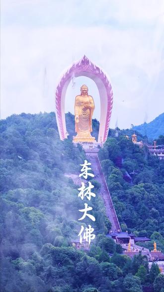 #一山一佛一世界 #烟雨东林大佛#祈福平安健康
