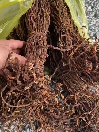 你们吃过这种农家手工制作的豆角干吗?它不是超市里那种腌制过的豆角干,而是用今年刚采摘的新鲜豆角自然风干制成的,咱们家的豆角干都是纯手工制作的,用来炒菜、炖肉都很不错,尤其是拿来焖五花肉,那叫一个香啊!喜欢吃的朋友可以买些回去尝尝看。#干豆角 #干豆角烧肉