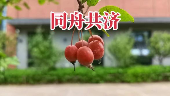 成语故事系列:263. 同舟共济
同舟共济(拼音:tóng zhōu gòng jì )是一则来源于历史故事的成语,该成语最早出自于《孙子兵法·九地》。
“同舟共济”本义是坐一条船,共同渡河(济:渡河);后比喻团结互助,同心协力,战胜困难。也比喻利害相同。讨论“同舟共济”在句子中一般充当谓语、定语;多含褒义。
成语出处
最早出处
夫吴人与越人相恶也,当其同舟而济,遇风,其相救也如左右手。(春秋·孙武《孙子兵法·九地》)
衍生典故
胡与越人,言语不相知,志意不相通,同舟而凌波,至其相助如一也。今山东之相与也,如同舟而济,秦之兵至,不能相救助如一,智又不如胡、越之人矣。(西汉·刘向等《战国策·燕策二》)
后人根据以上文献总结出成语“同舟共济”“风雨同舟”等。
#成语#同舟共济#长知识#北京#的确良言