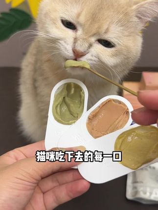 养猫人快薅格吾安超值主食大礼包!足足10件,还都是全价主食价格,每个猫咪都贼爱吃~#养猫人#猫零食 #猫罐头