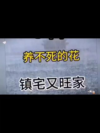 夸孩子也是一门学问要用对方式,不然只能适得其反。#亲子教育 #家庭教育 #父母课堂 #干货分享