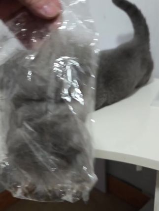 养猫的人都懂,猫毛满天飞,快试试这把除毛按摩梳吧#除毛按摩梳#宠物除毛#宠物除毛梳#宠物按摩梳