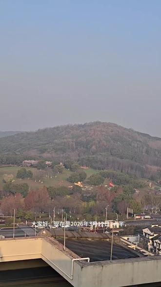 2026.3.12芜湖神山公园郁金香实况。#芜湖雕塑公园郁金香 #芜湖神山公园 #芜湖春天 @欢乐芜湖