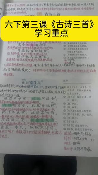 六下第三课《古诗三首》学习重点。