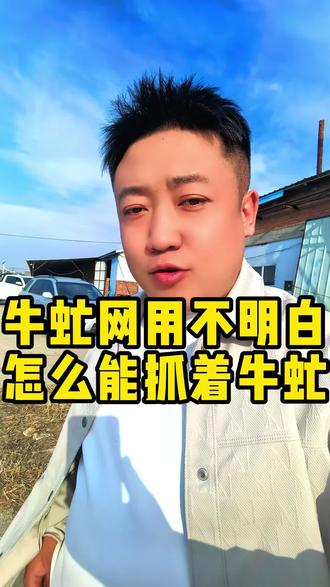 牛虻网都会不用你怎么抓牛虻?