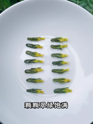千万不要小看这杯莲子心茶#莲子心