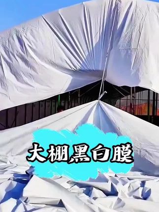 #三农 #大棚黑白膜 #黑白膜养殖大棚专用膜#黑白膜#源头实力厂家 买塑料膜不要再被别人给骗了,网上那些 以薄充厚,以次充好的,花了钱买不到东西,快来试试,我们厂家直销的塑料膜结实耐用,价格合适,还是免费寄送样品的