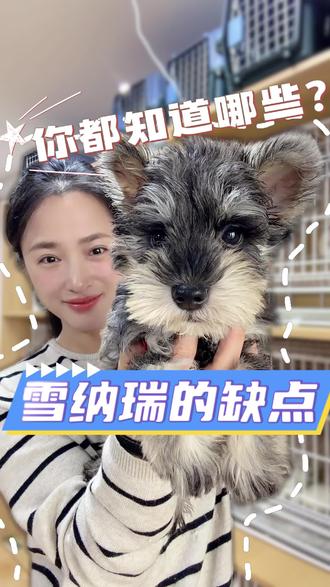 雪纳瑞的缺点?你都知道哪些?
#雪纳瑞#西安雪纳瑞#宠物#陪伴犬#新手养狗