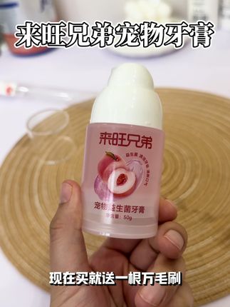 给小狗刷牙千万别偷懒,不然以后只能全口拔牙了#萌宠好物 #小狗刷牙 #来旺兄弟益生菌牙膏 #宠物牙膏 #科学养宠攻略