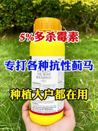 专打各种抗性蓟马 #多杀霉素 #病虫害防治 #蓟马 #农业种植 #抖音助农
