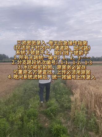 目前我觉得最快的录入方法#三资图斑
