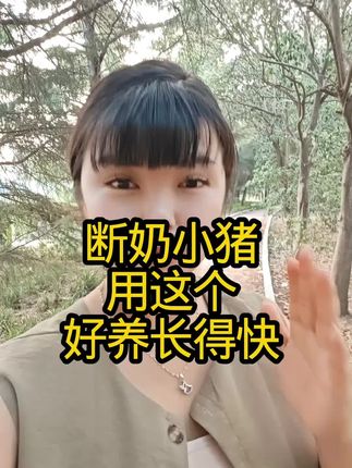 #养猪#养猪人#科学养猪
