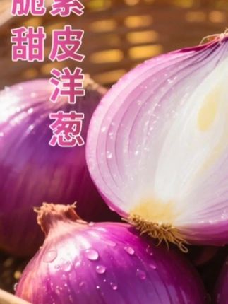 #你的中秋团圆搭子前来报到 #【到手带箱9.5-10斤】买5斤送5斤#2025新鲜现挖紫皮洋葱#营养健康 #打开美好生活