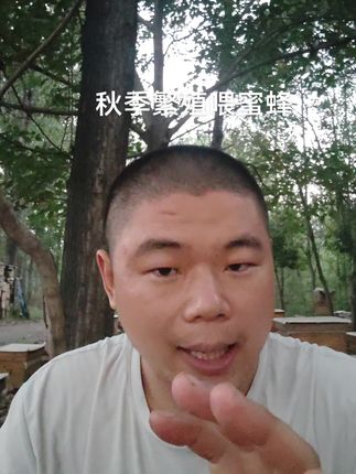 #蜜蜂养殖技术分享 #养蜂技术分享