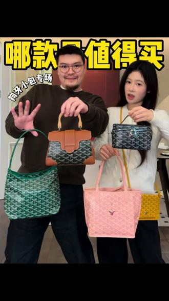 狗牙小包怎么选❓每个都是夯爆了的级别🫨!#测评 #goyard #minihobo #信封包 #狗牙包