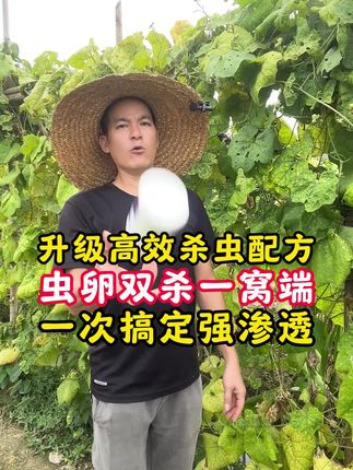 升级高效杀虫配方,虫卵双杀一窝端,一次搞定强渗透 升级高效杀虫配方,虫卵双杀一窝端,一次搞定强渗透#杀虫剂 #打药 #病虫害防治 #农资肥料 #种植小技巧