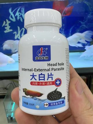 养鱼必备,观赏鱼大白片,点击上方链接,下单#鱼缸 #养鱼经验分享 #鱼缸过滤 #观赏鱼 #水产养殖知识