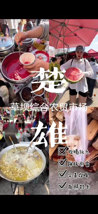 楚雄的家人们,想感受最浓的人间烟火气,一定要来草坝综合农贸市场!#楚雄农贸市场 #烟火气最旺盛的地方 #最浓烟火气