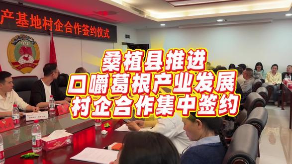 4月10日上午,桑植县2026年口嚼葛根生产基地项目村企合作签约暨业务培训会议在县农业农村局举行。来自县直部门、各乡镇及企业代表共50余人参加会议,标志着全县葛根产业规模化、组织化发展迈出关键一步。
