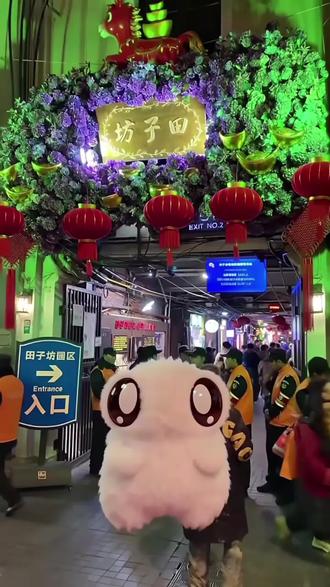 卢米的日常:带卢逛田子坊!#潮玩新ip#二次元新星 #治愈系陪伴 #大人也要玩玩具 #软萌毛绒