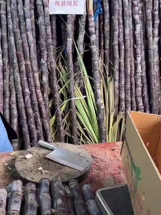 【皮薄脆甜】广西特产新鲜黑皮甘蔗现砍脆甜应季水果整孕妇水果#新鲜甘蔗#清甜爽口#现砍现发