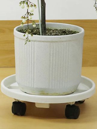 卉馨加厚可移动花盆托盘带轮 养花专用可接水圆形底托 #花卉绿植 #养花好物 #好物分享 #超便宜超划算 #透气花盆