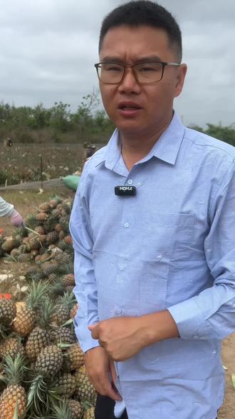 凤梨最简单的削皮方法#凤梨 #金钻凤梨 #菠萝 #新鲜应季水果 #种草好物推荐