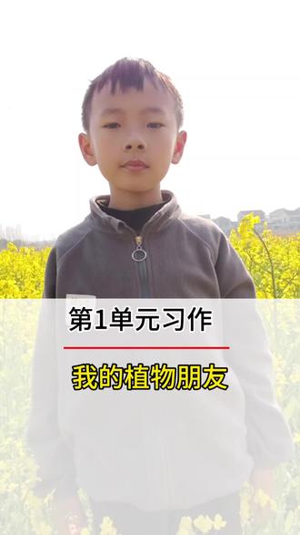 第1单元习作《我的植物朋友》油菜花#知识点#写作#我的植物朋友#三年级#语文